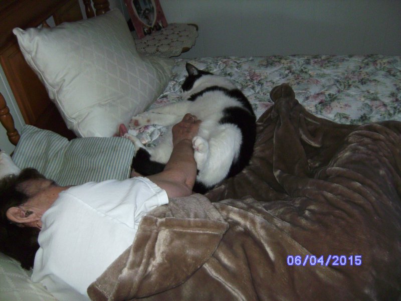 enjoyin' a belly rub.JPG