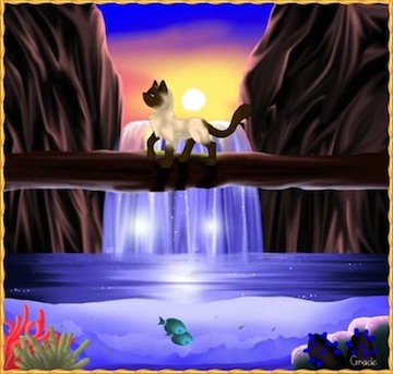 Falls-Siamese-Cat-Waterfall.jpg