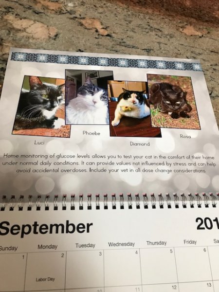 FDMBCalendar2019.jpg