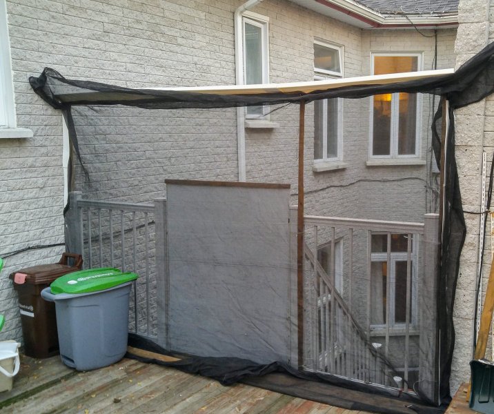Fence.jpg