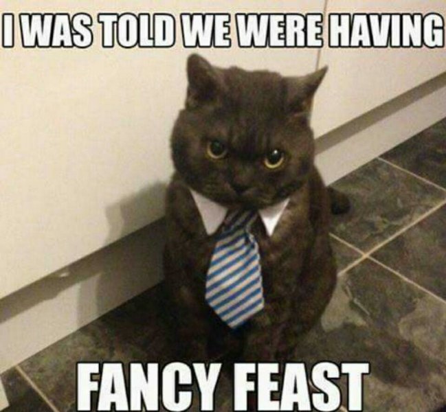 FF funny.JPG
