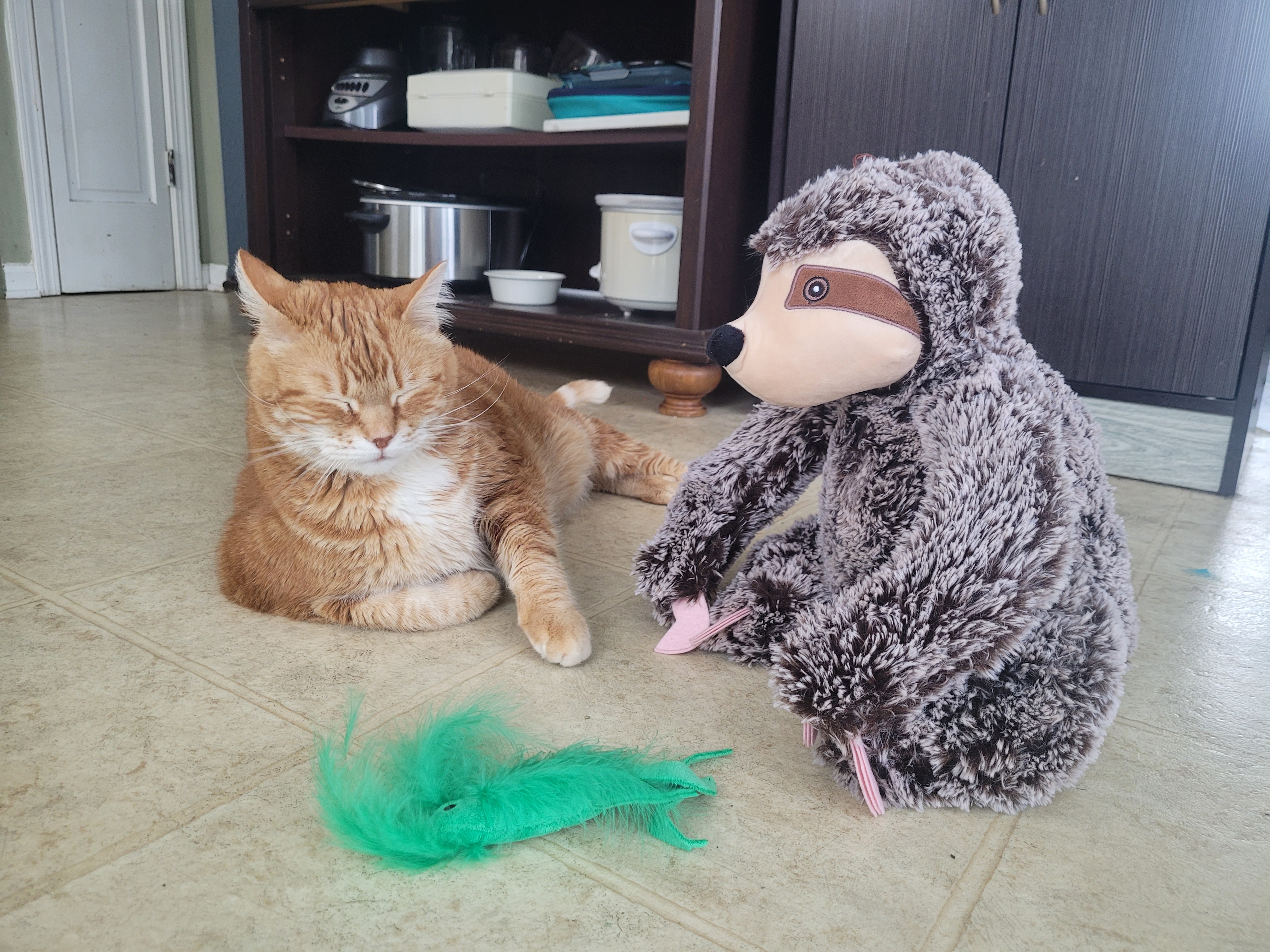 Fireball and Sloth friend.jpg