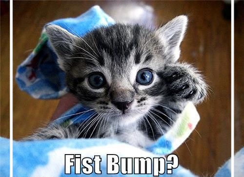 FIST20BUMP_zpsc3oe8hnd.jpg