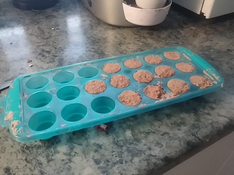 Food freezer.jpg