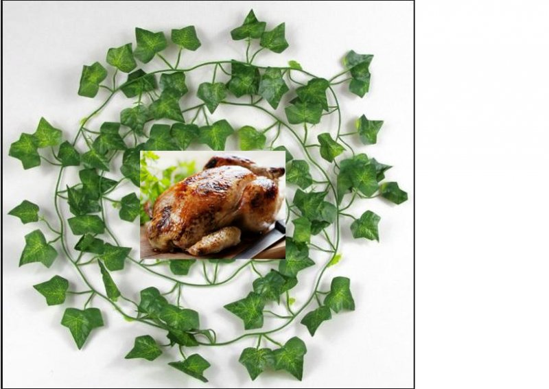 food vines.JPG