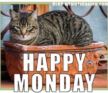 funny-cats-happy-monday-meow-monday-cat-Favim.com-4580739.jpeg