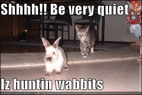 funny-pictures-cat-asks-you-to-be-quiet-because-he-is-hunting-rabbits.jpg