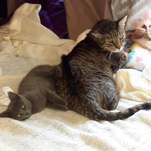 getting together.jpg