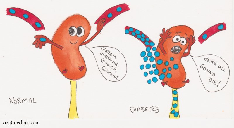 glucosuria.jpg