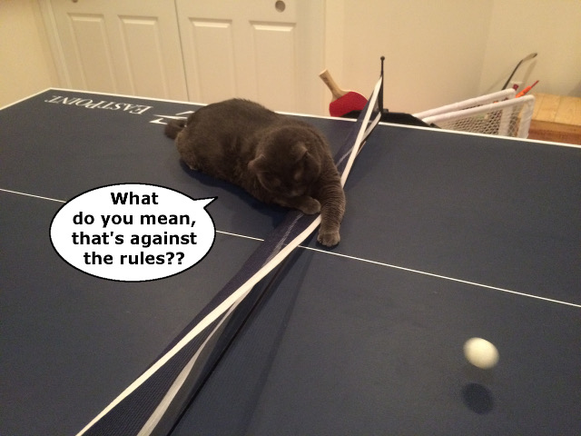 grady playing ping pong.JPG