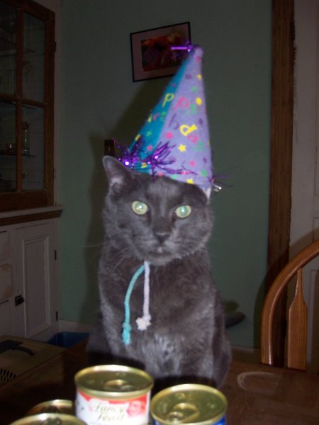 grayson 13 7th bday.JPG