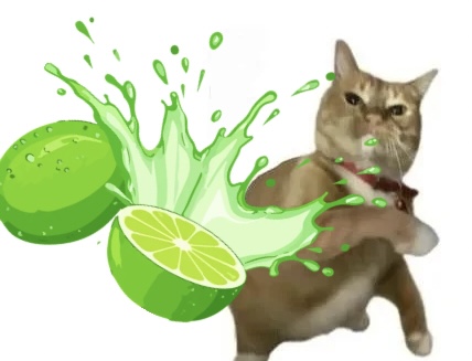 💚.jpeg