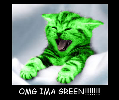 GreenCat.jpg