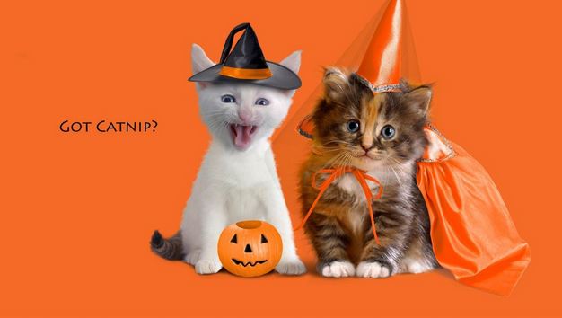 halloween.JPG