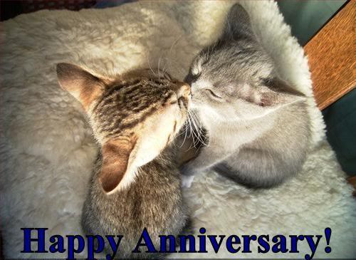 HAPPY ANNIVERSARY.jpg