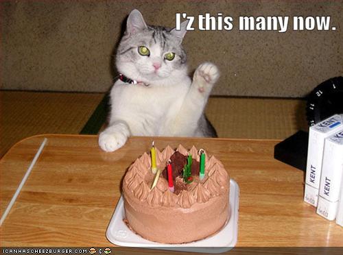 happy birthday cat.jpg