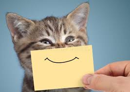 HAPPY CAT.jpg