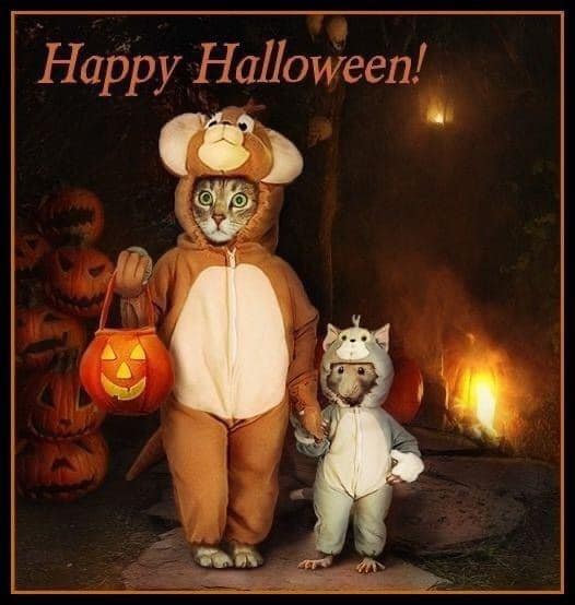 Happy Hallowe'en.jpg