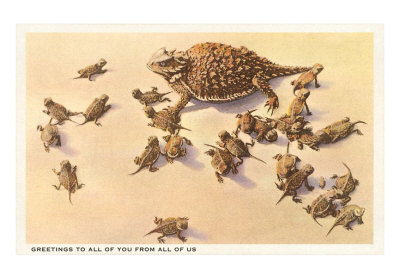 horny-toad-family.jpg