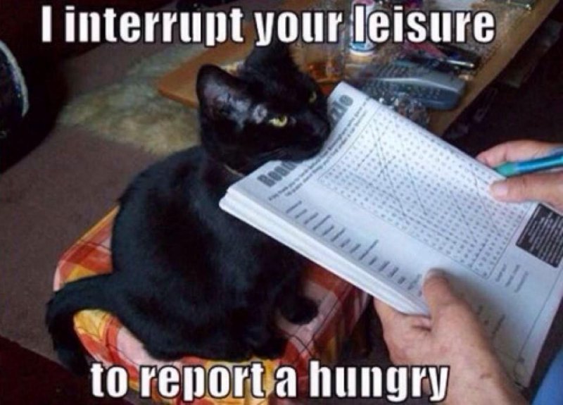 I interrupt your leisure to report a hungry.jpg