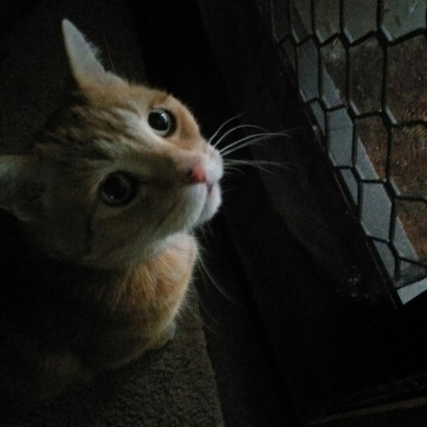 IMAG0264.jpg