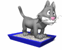 image.gif