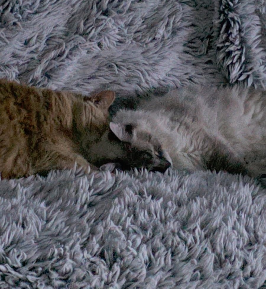 image000000.jpg