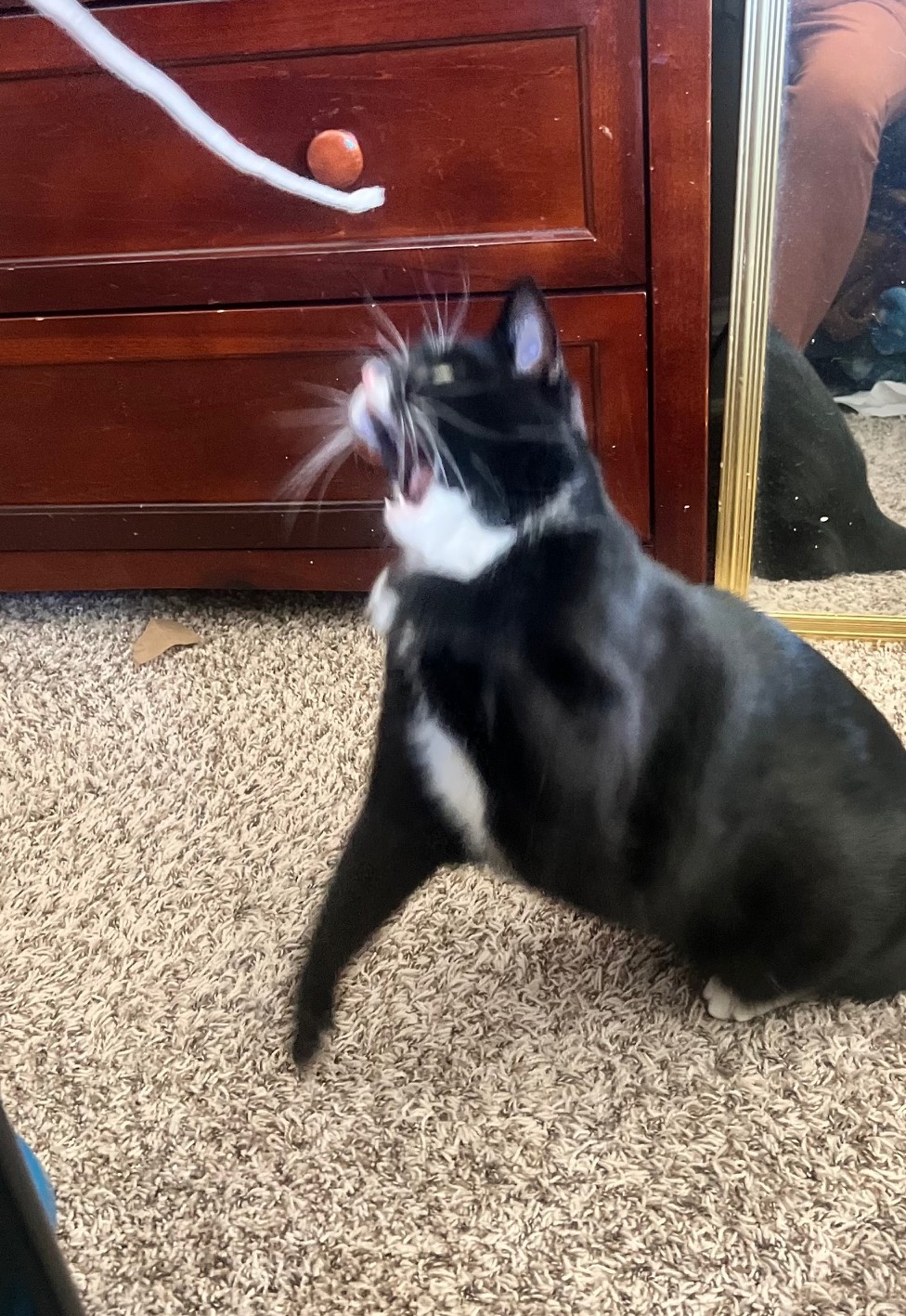 image3.jpeg