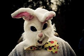 imagesbunny.jpg