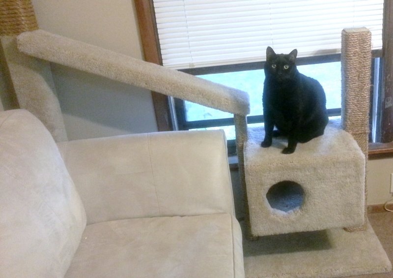 IMG-20150413-WA0011 - Copy.jpeg