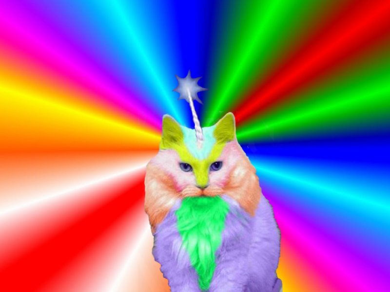 img-2575634-1-Rainbow-Colors-Widescreen.jpg