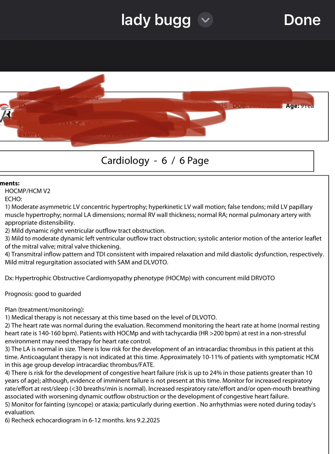 IMG_0123.jpeg