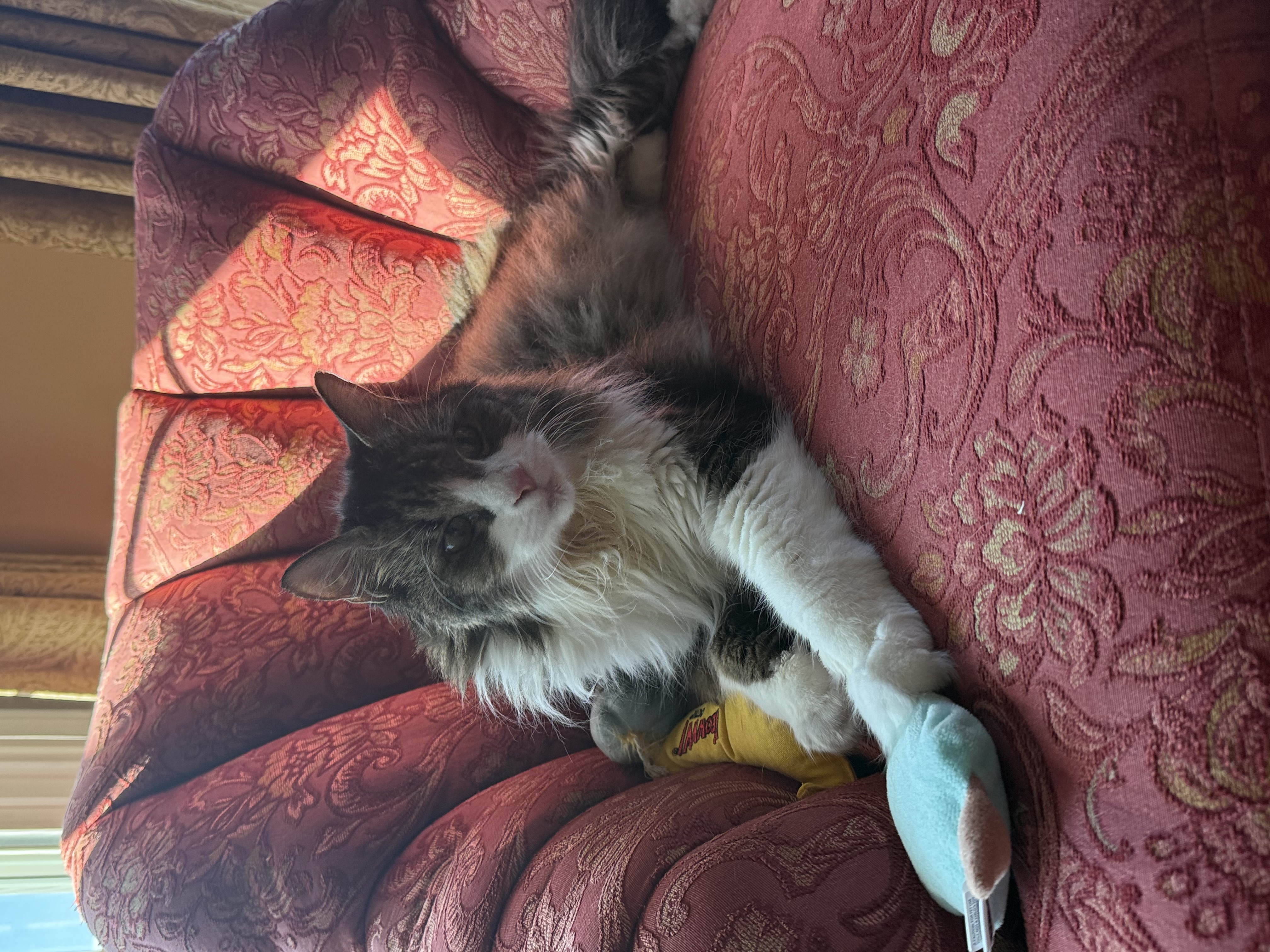 IMG_0264.jpeg