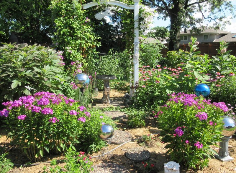 IMG_0268 (2).JPG July13,2020 Garden.JPG