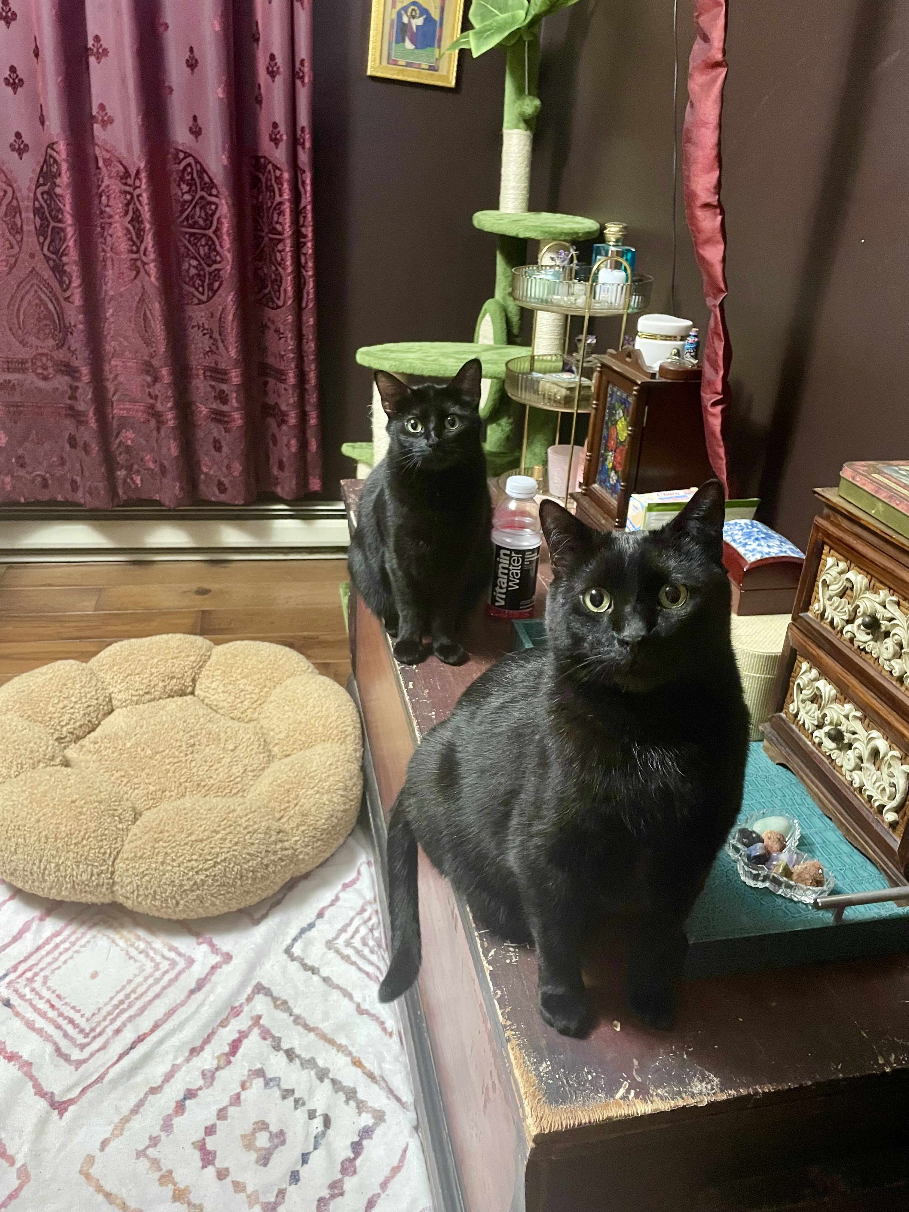 IMG_0278.jpeg
