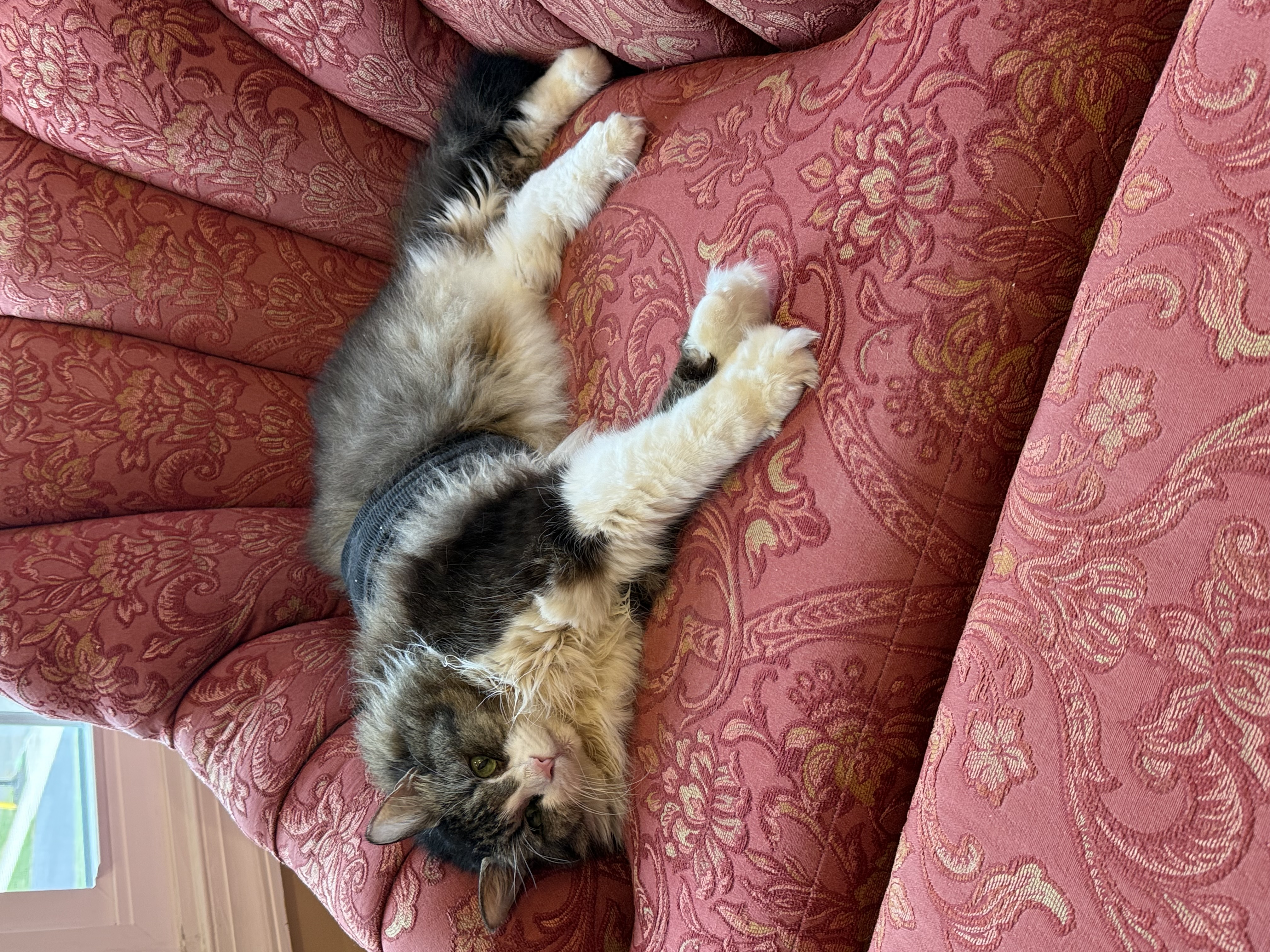 IMG_0503.jpeg