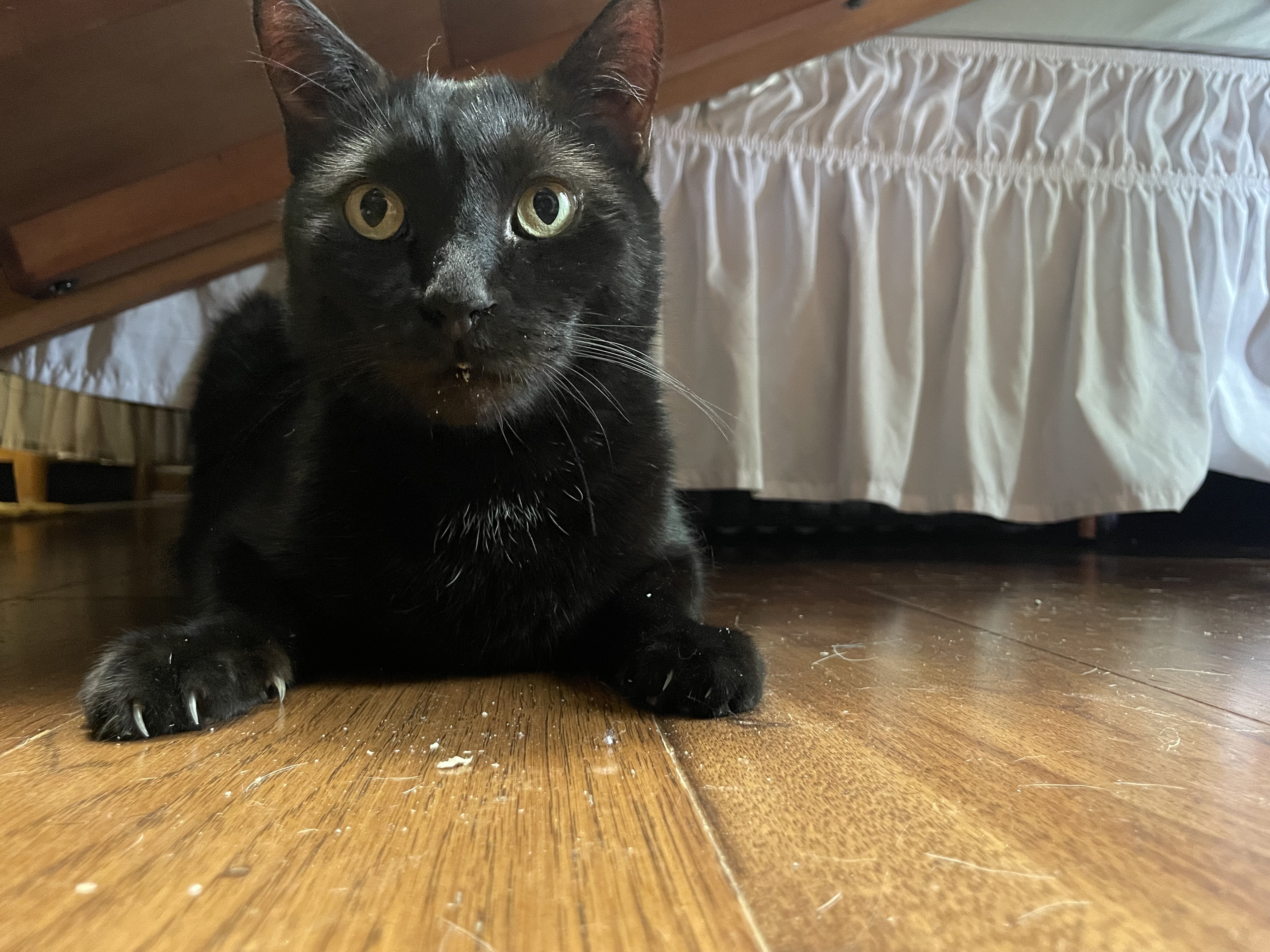 IMG_0672.jpeg