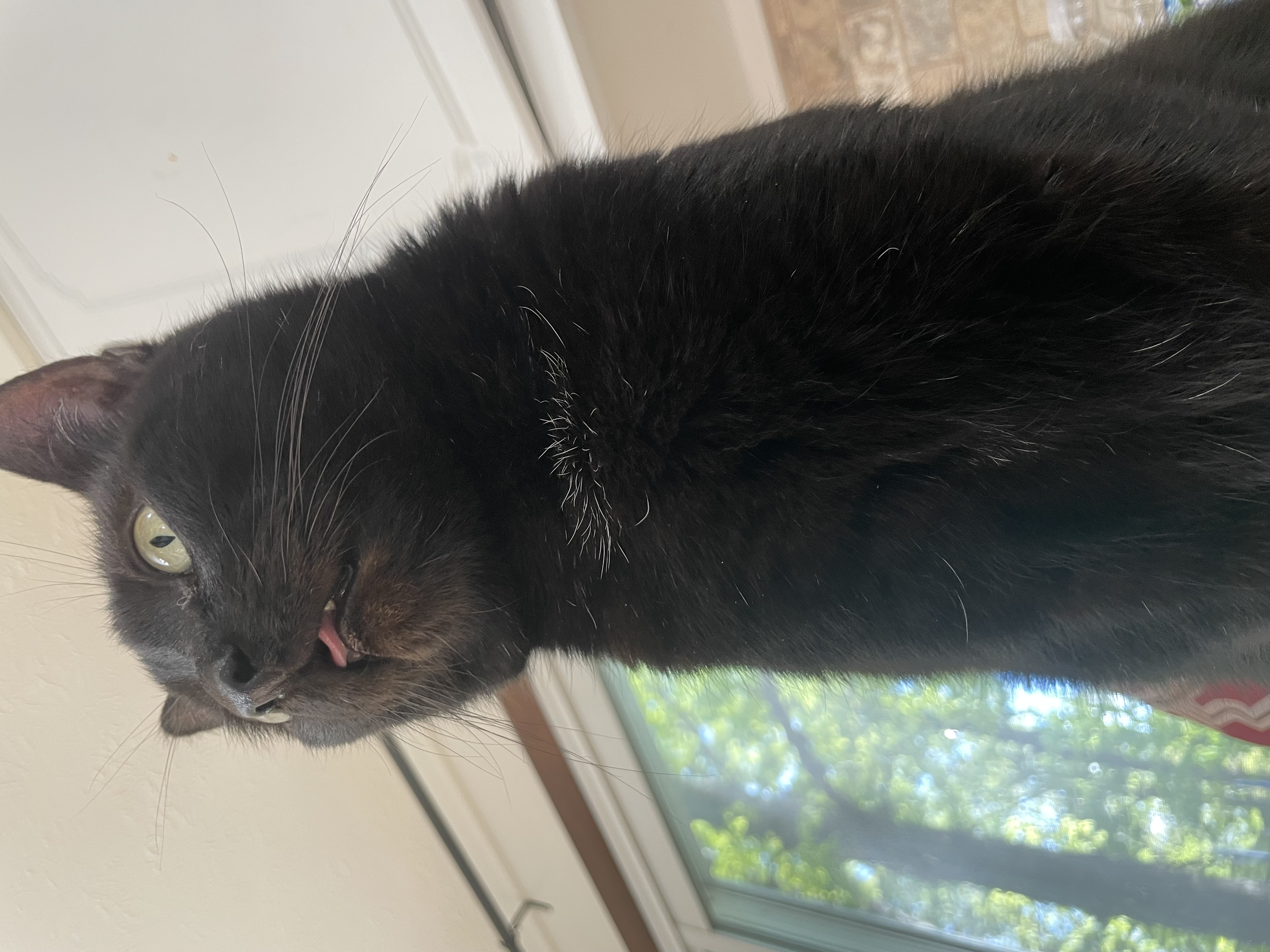 IMG_0696.jpeg