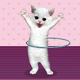 IMG_0745.GIF