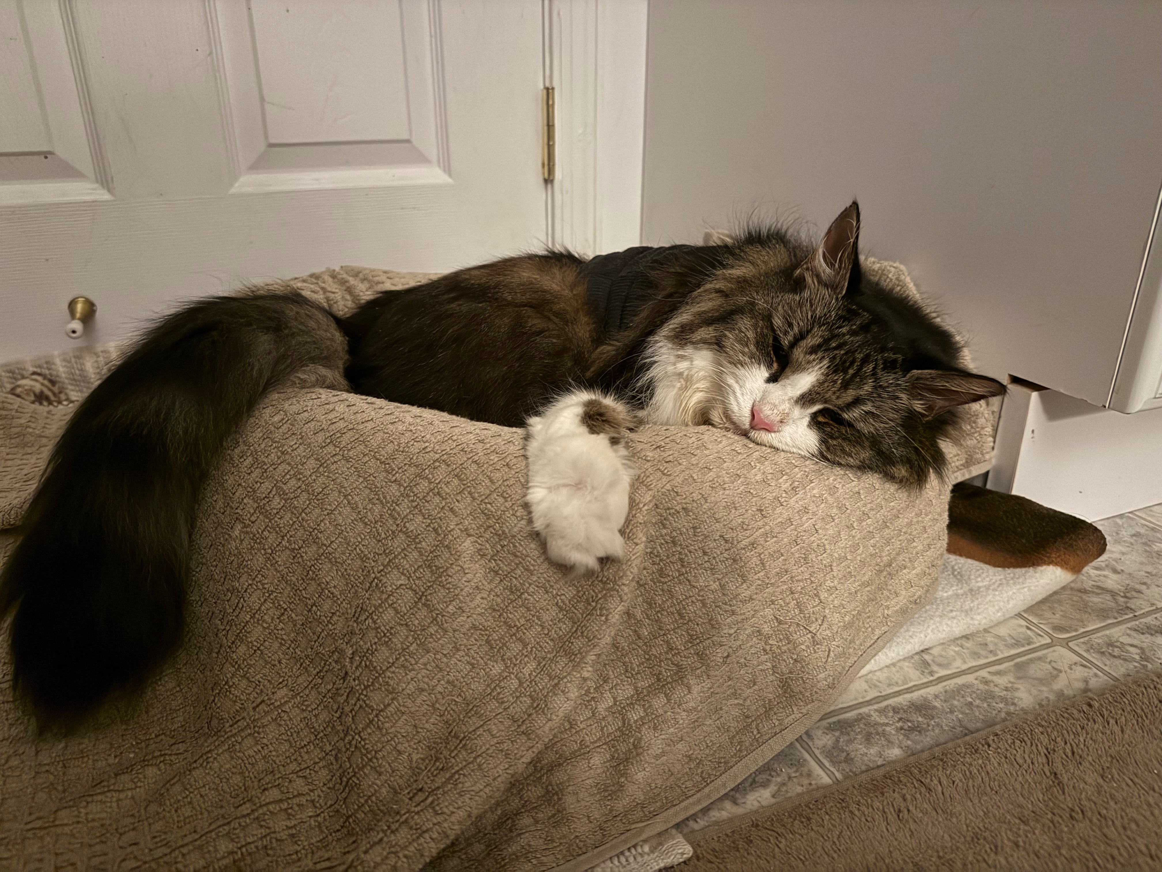 IMG_0890.jpeg IMG_0890.jpeg