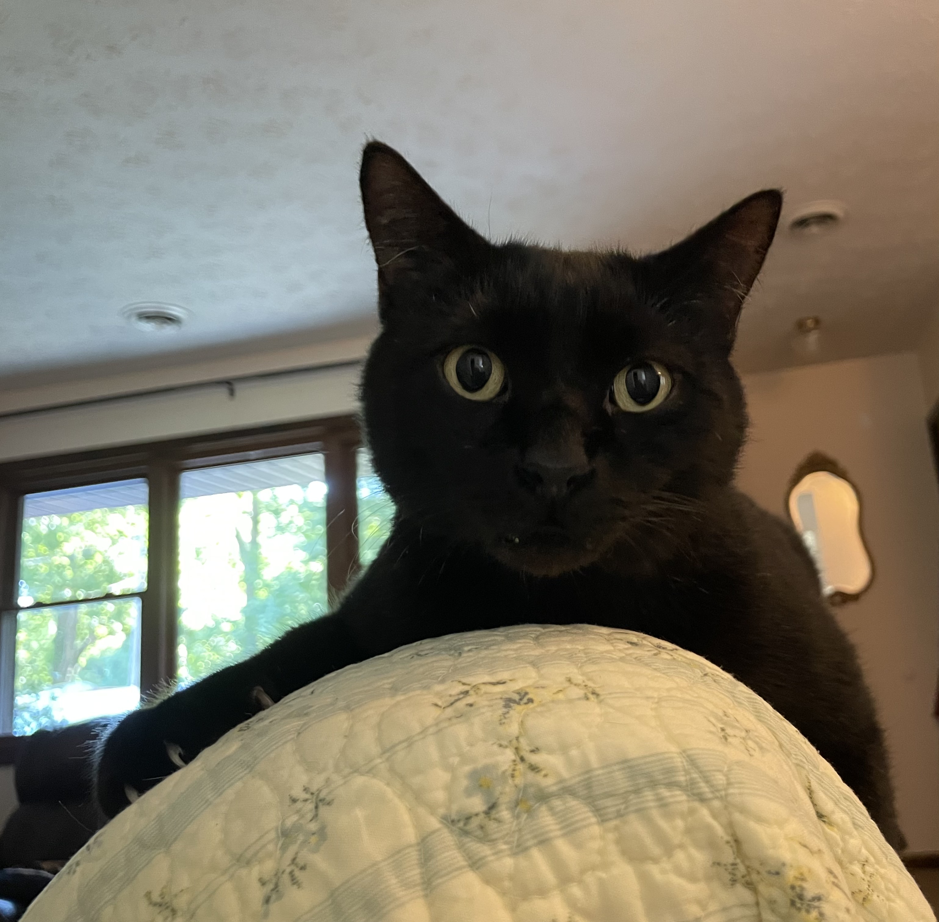 IMG_1211.jpeg