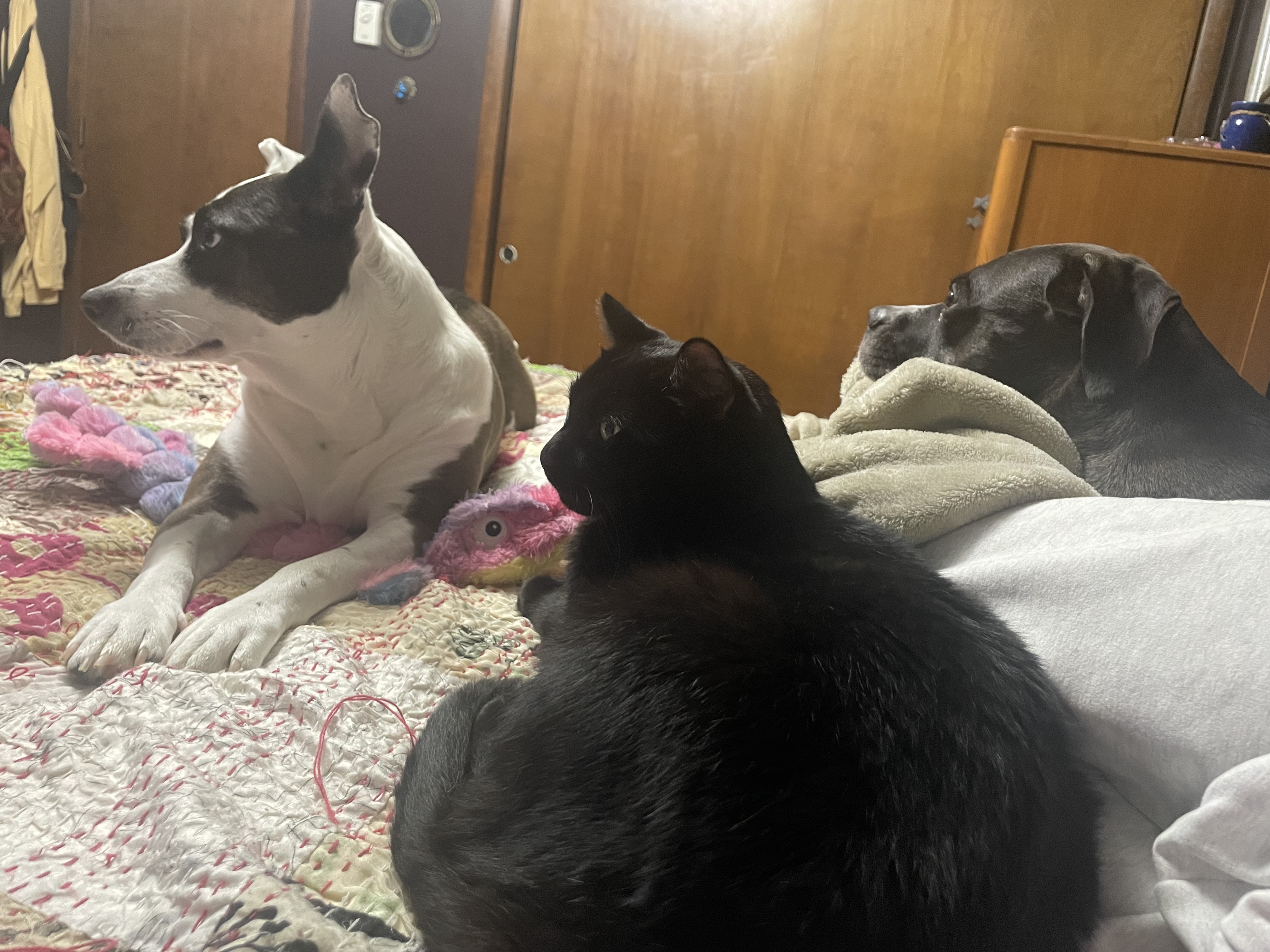 IMG_1311.jpeg