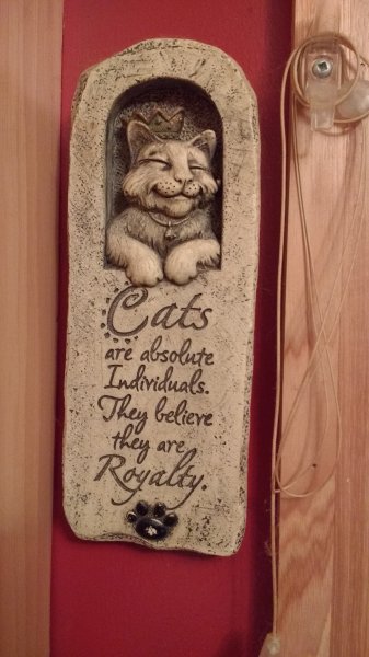IMG_20170311_201008398.jpg