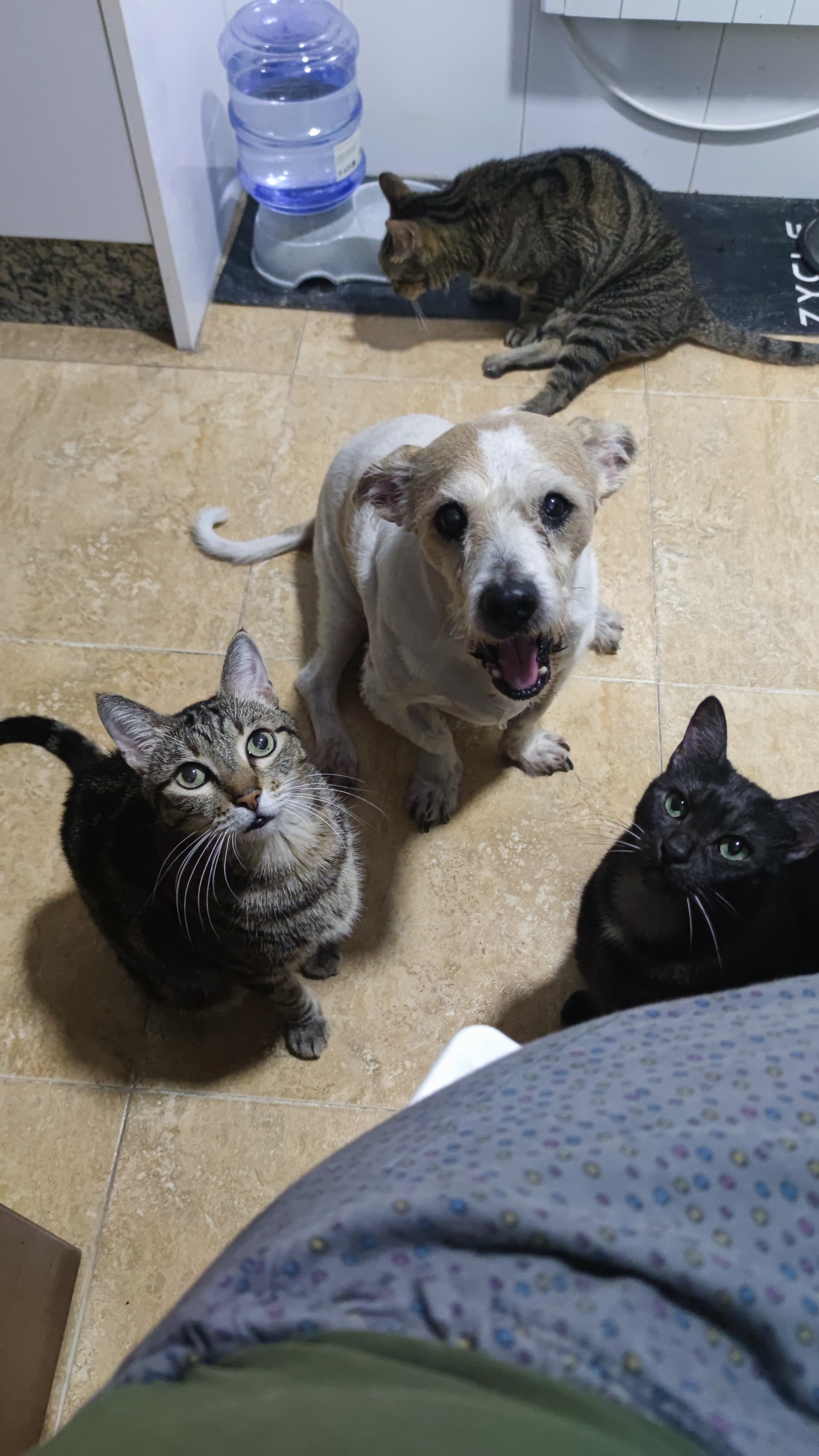 IMG_20251030_205542 2.jpeg