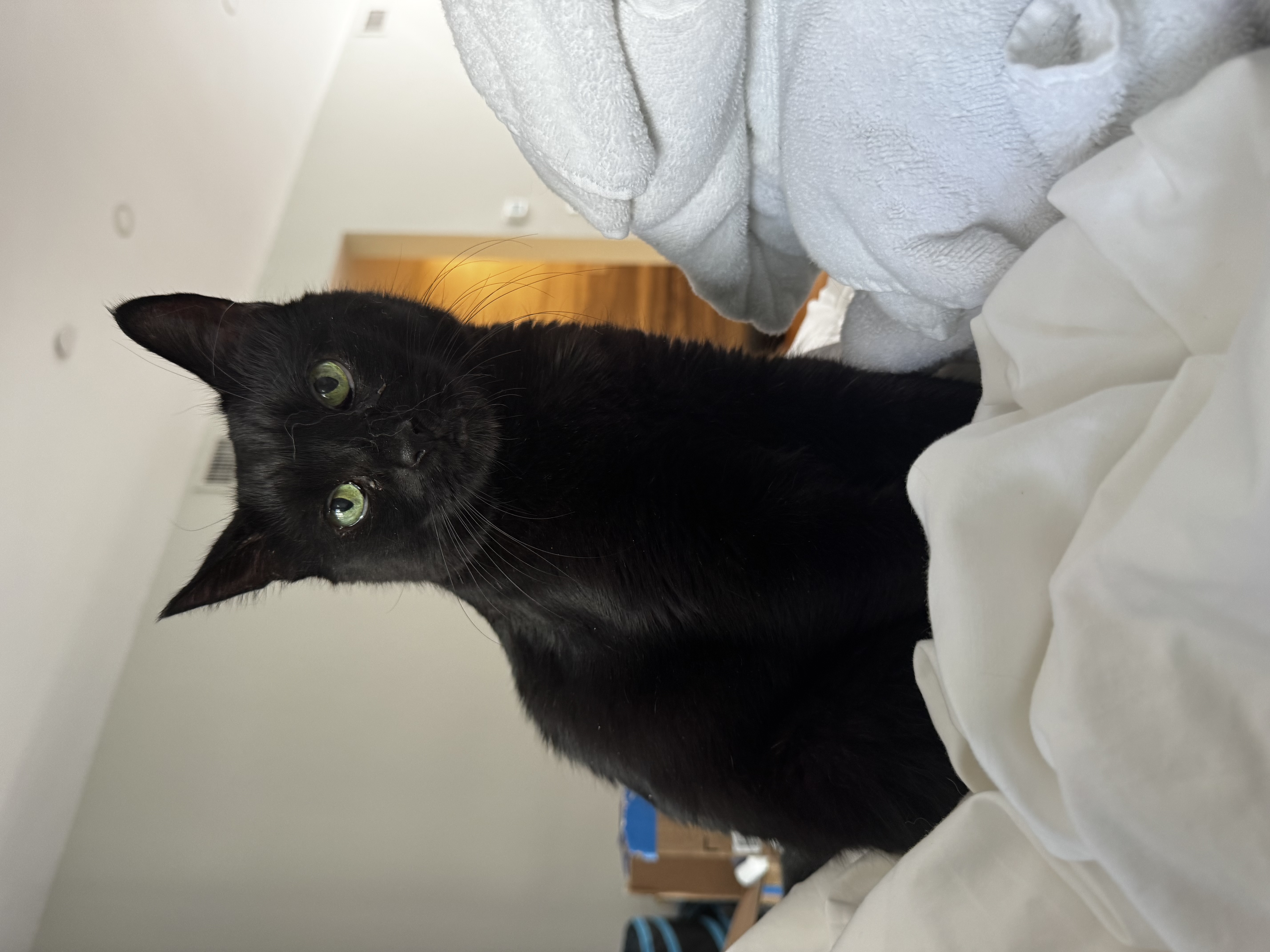IMG_3062.jpeg