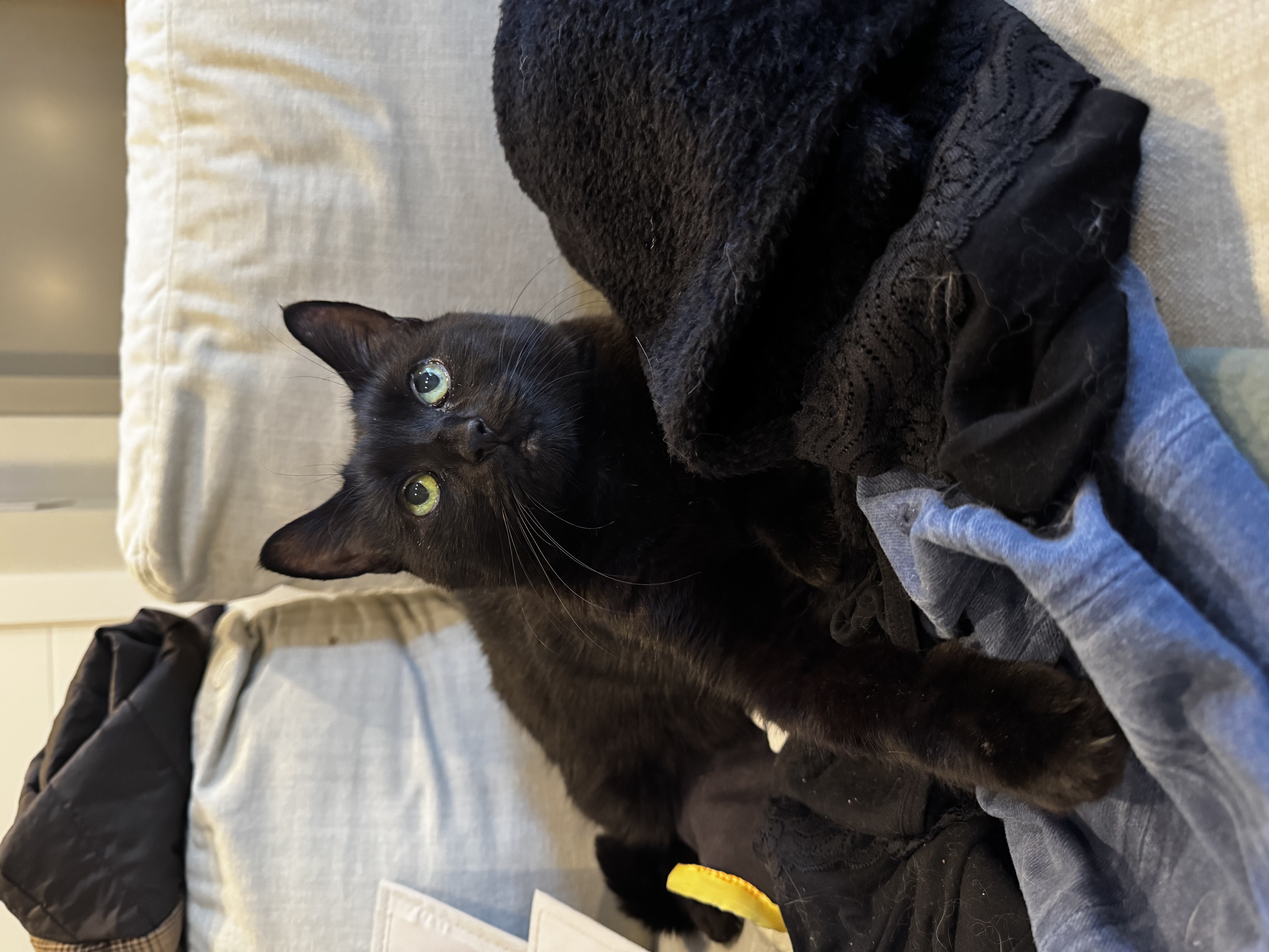IMG_3196.jpeg