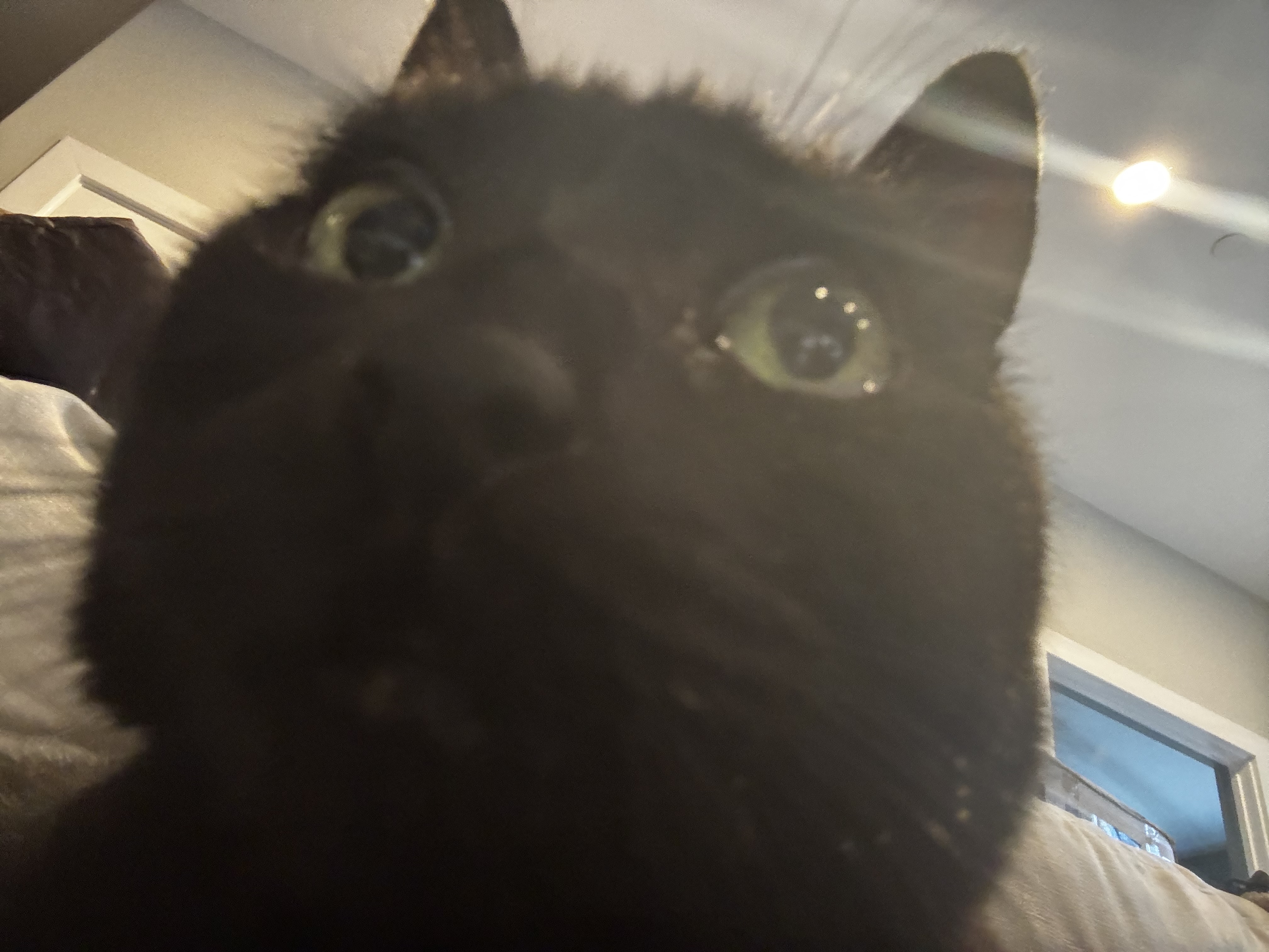 IMG_3202.jpeg