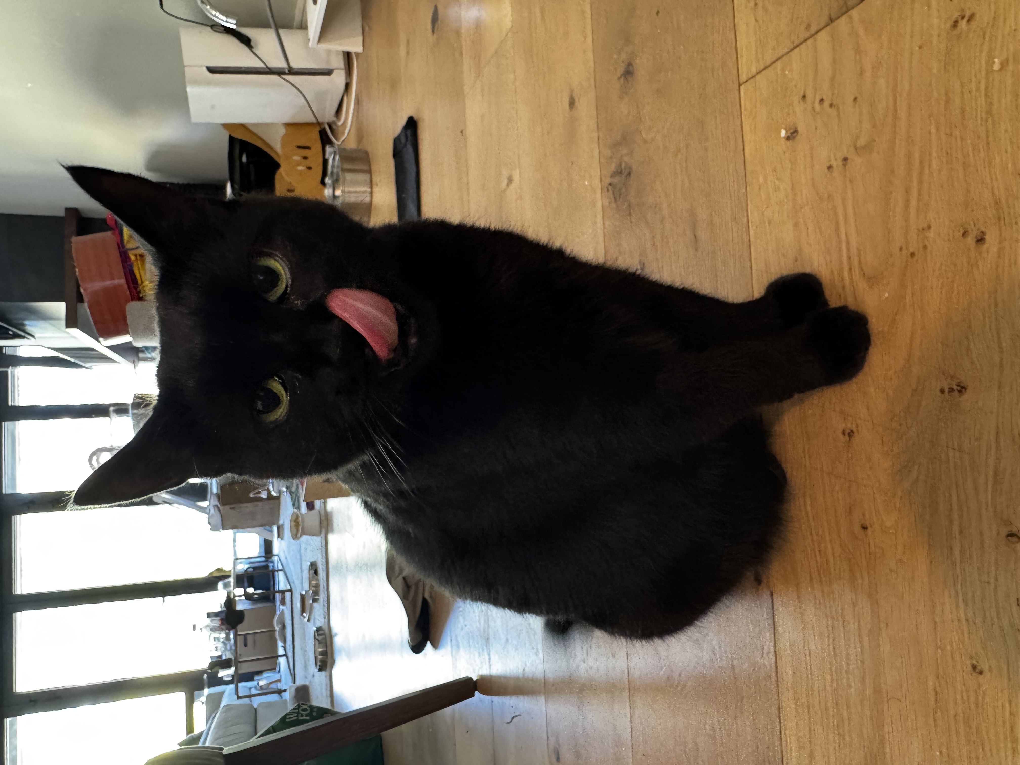 IMG_3267.jpeg