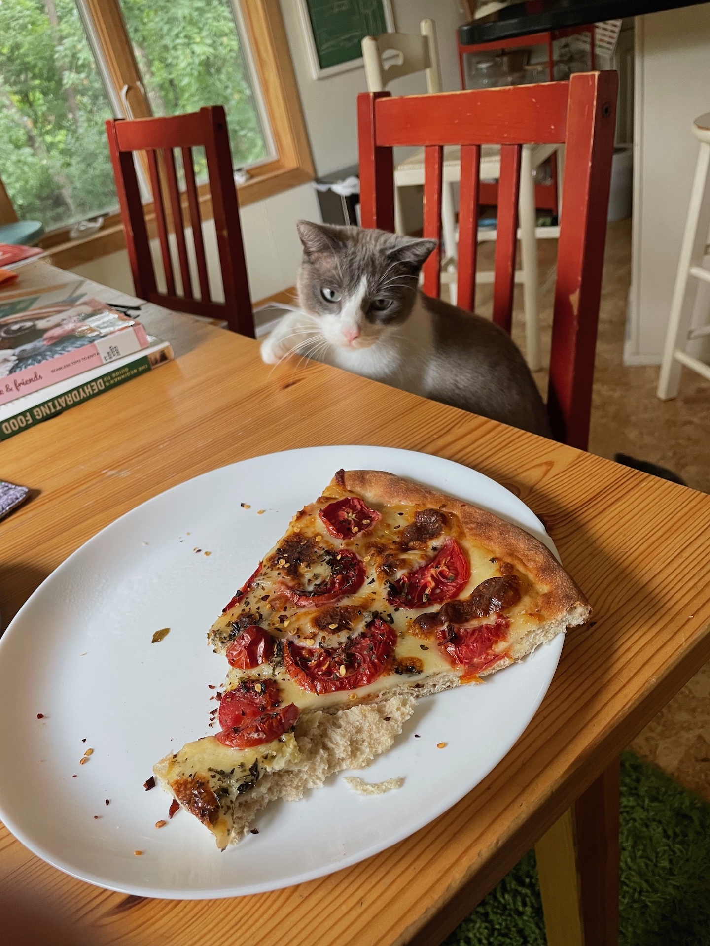 IMG_3561.jpeg