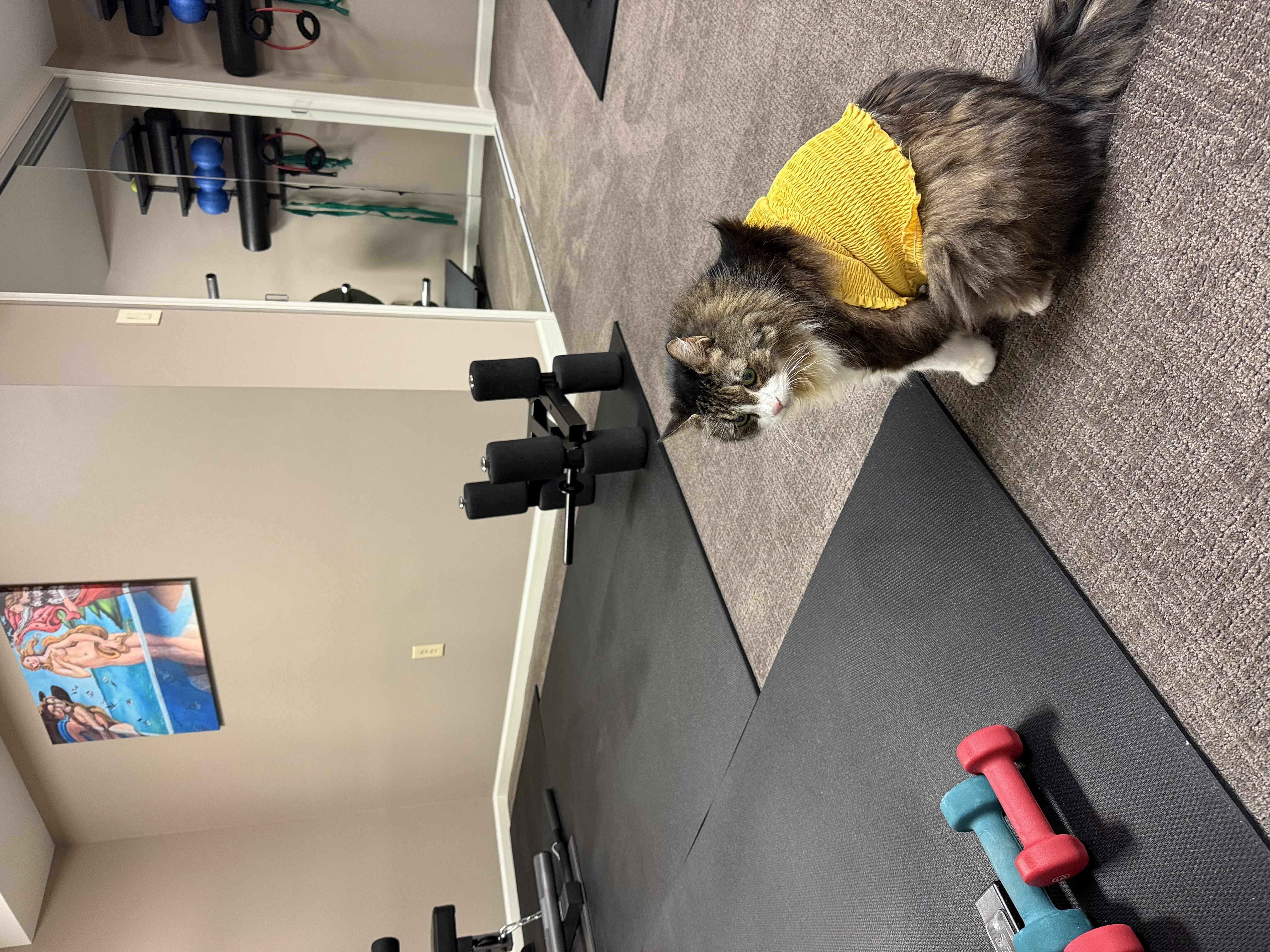 IMG_4818.jpeg